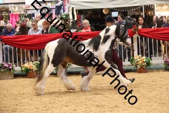 GBR-8914