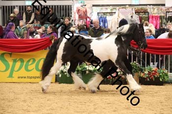 GBR-8922
