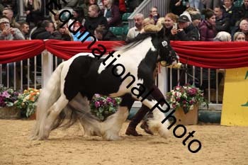 GBR-8928