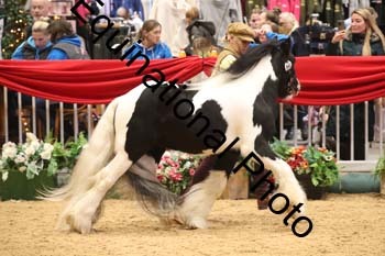 GBR-8931