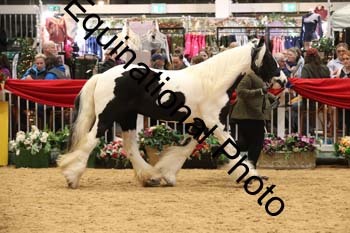 GBR-8938