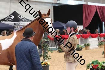 YQL-2983