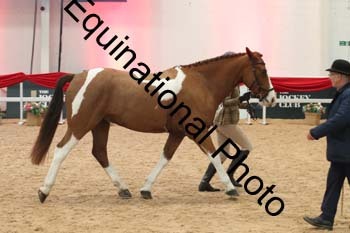 YQL-2988