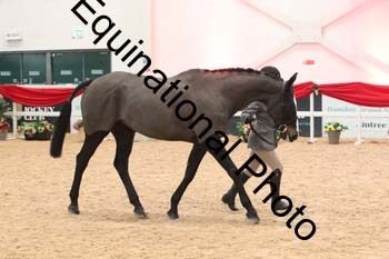 YQL-3056