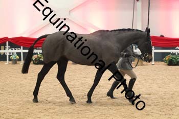 YQL-3057