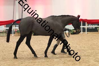 YQL-3058