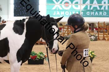 YQL-3077