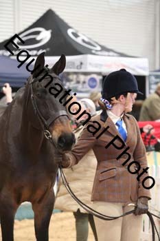 YQL-3106