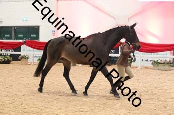 YQL-3109