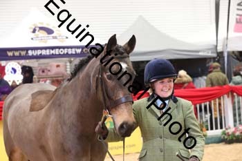 YQL-3160