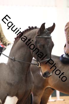 YQL-3285