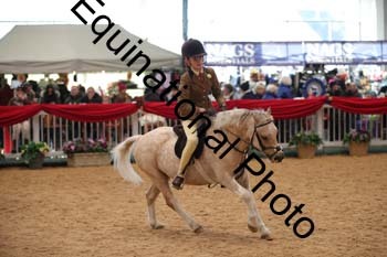 YQL-3498