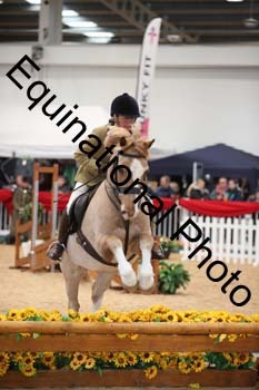 YQL-3559