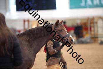 YQL-3770