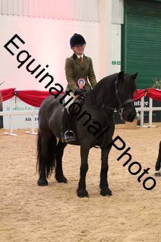YQL-3981
