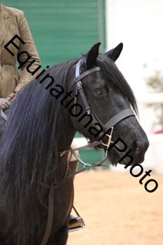 YQL-3999