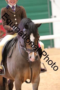 YQL-4006