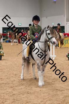 YQL-4028