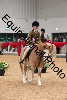 YQL-4061