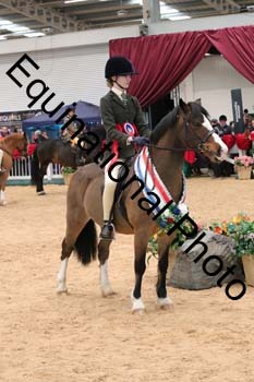 YQL-4086