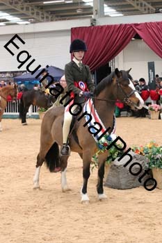 YQL-4091