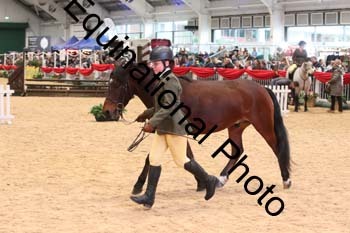 YQL-4562