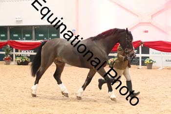 YQL-4578