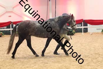 YQL-4736