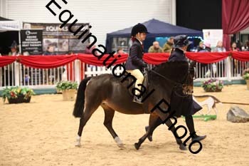 YQL-5104