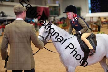 YQL-5369