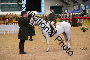 YQL-5419