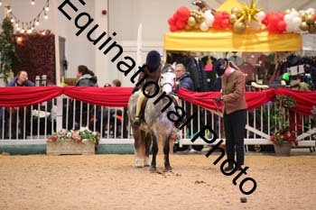 YQL-5538