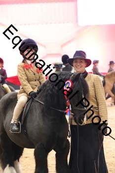 YQL-5593