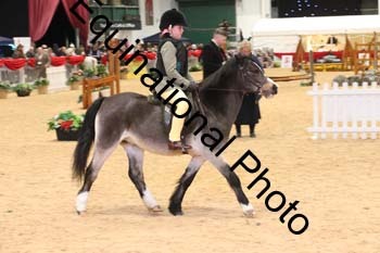 YQL-6185