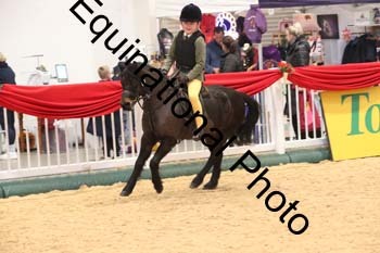 YQL-6295