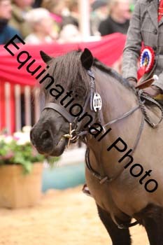 YQL-6548