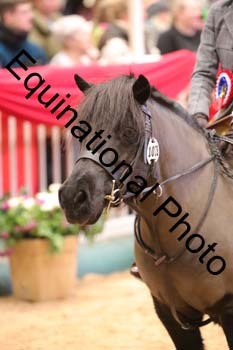 YQL-6549