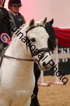 YQL-6587