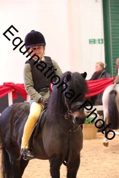 YQL-6593
