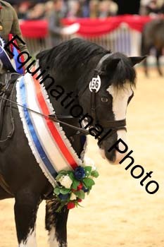 YQL-6714