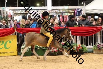 YQL-6959