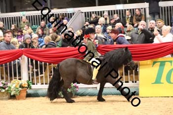 YQL-6960