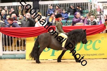 YQL-6961