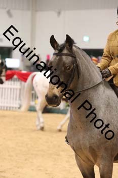 YQL-6976