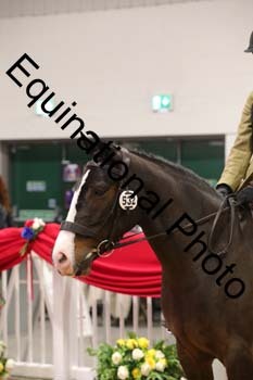 YQL-7389