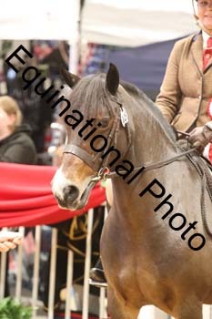 YQL-8039