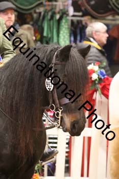 YQL-8053