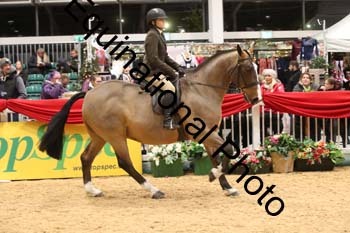YQL-8389