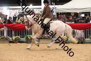 YQL-8484