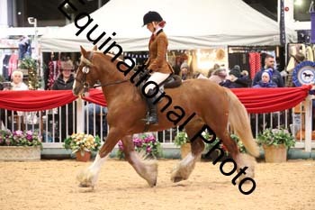 YQL-8582